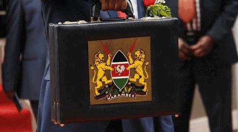 The iconic briefcase has become the face of Budget Day in Kenya. 