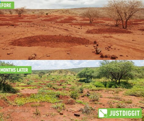 Before and after comparisons of the arid areas.