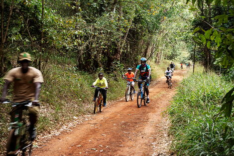Karura bike trail