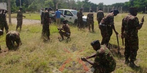 Kenya Defence Forces officers plant trees in a joint exercise with Kenya Widlife Service (KWS) personnel on January 28, 2022