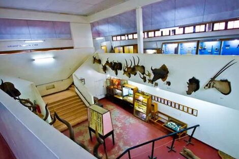 100 years old Kitale Museum ranked among the best destinations in Africa [PHOTOS]