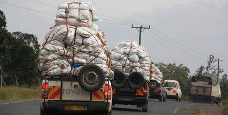 File image of Miraa truck drivers 