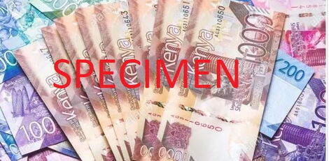 Kenyan Currency notes.