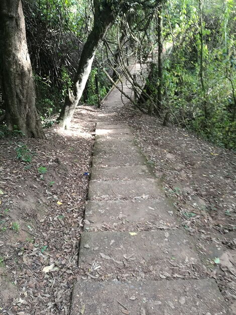 A nature trail at Kitale Museum in Trans Nzoia County