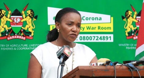 Agriculture CAS Anne Nyaga speaking at a press conference in May 2020.