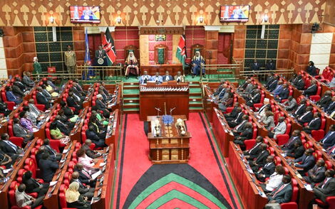 How canceled special sitting could cost Kenyans