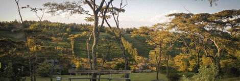 A side view of the Shallom Picnic Gardens and Guesthouse.