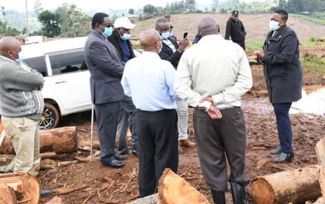 Murang'a Woman Representative Sabina Chege at Gituamba Eucalyptus Plantation on August 20, 2020.