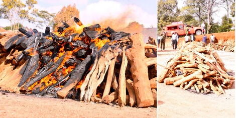 Photo collage of sandalwood being set on fire at DCI headquarters along Kiambu Road on Tuesday February 28, 2023