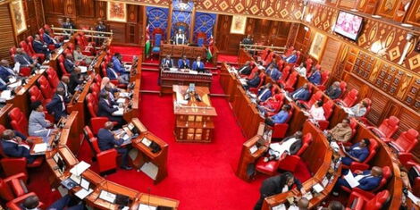 Image of the Senate of Kenya in session.