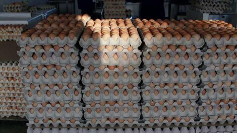 Several crates of eggs