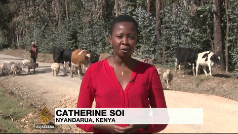 Al Jazeera Correspondent Catherine Soi reporting.