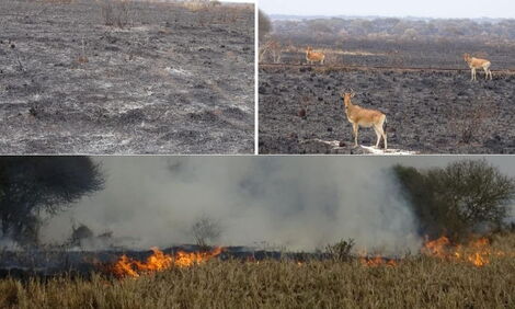 The aftermath of the fire incident at Tsavo Conservation area