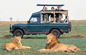 Tourists view wildlife at a Kenyan reserve.
