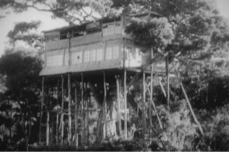 The Treetops room the royal couple stayed in 