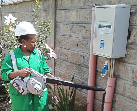Lucy Wanjiku Mutinda during a maintenance visit on November 29, 2016