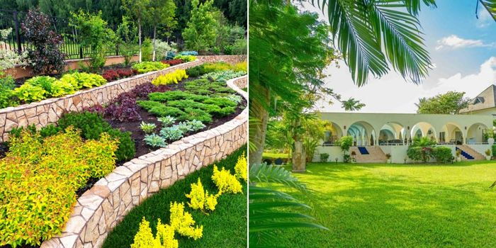 Landscaping: Natural Aesthetic Landlords Use to Double Rent & Property Prices