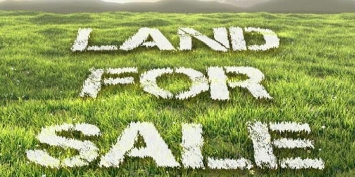 Buy Land in Kenya With 10 Easy Steps