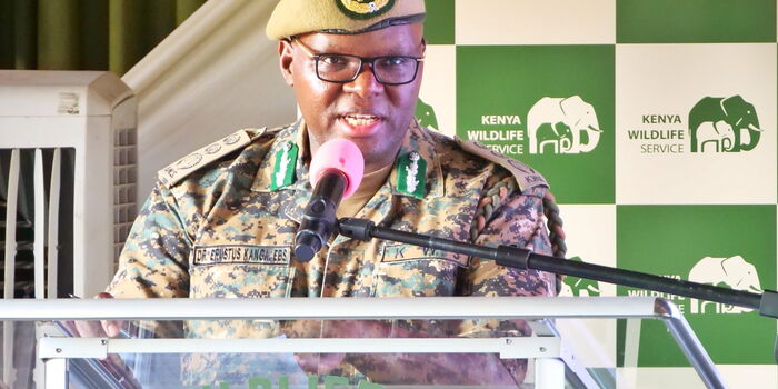 KWS Explains How Kenyans Attacked by Wild Animals Can Claim Compensation