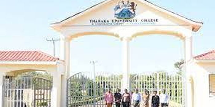 Four University Students Drown While Swimming in a Shrine