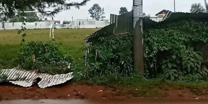 Police Resort to Tear Gas as Students Riot Over Undercooked Rice