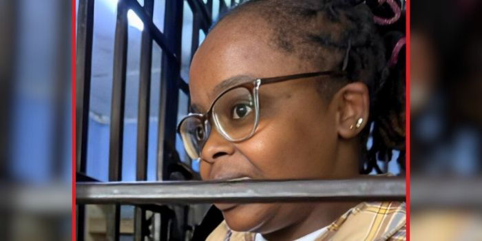 Software Developer Rose Njeri Freed