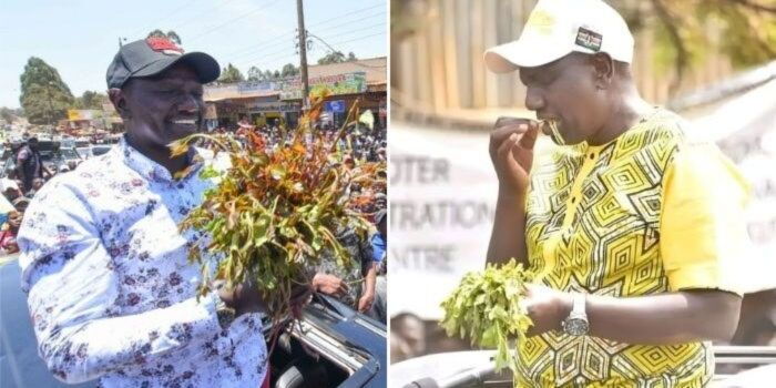 Governor Calls for Criminalisation of Muguka