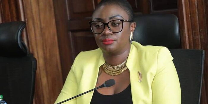 Orwoba Loses Case to Overturn Her Dismissal as Nominated Senator