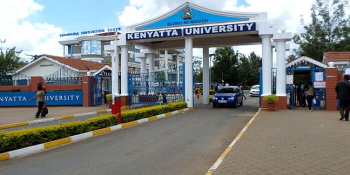 Maseno university thesis repository image