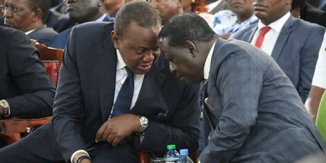 Leaked Info Exposes Raila's Next Govt Job