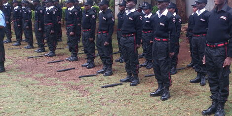 Security Guards in Public Places to be Armed