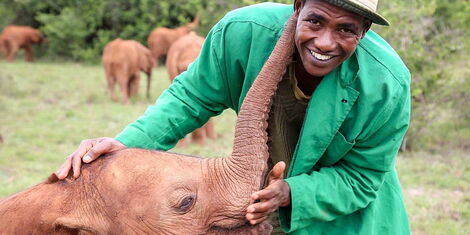 https://www.kenyans.co.ke/files/styles/article_style_mobile/public/images/news/man_with_elephant.jpg?h=e4af1f8c&itok=JQh_bym5